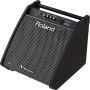 Roland | Personal Monitor Speaker | PM200
